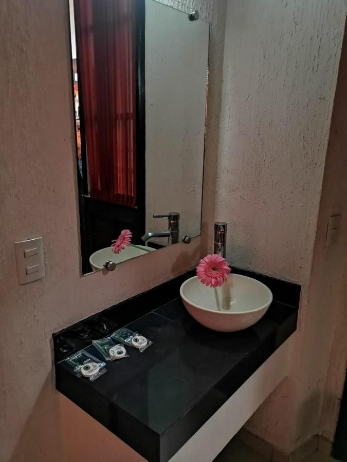 Hotel Jorge Alejandro Guadalajara Exteriör bild